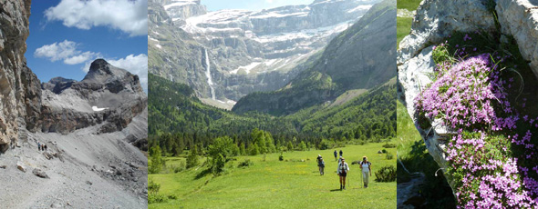 Discovery level or intermediate level guided walking and trekking