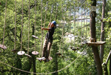 Chlorofil tree-top park