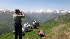 06  spotting raptors pyrenees walking holidays