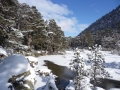 018-caledonian-pines-rivers-and-fresh-snow