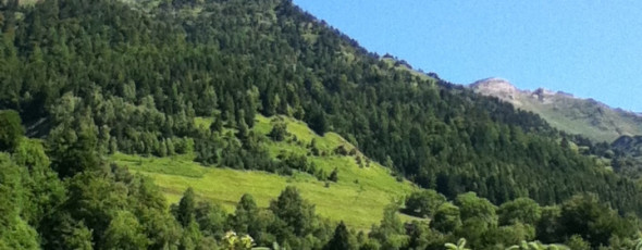 Our guests’ holidays