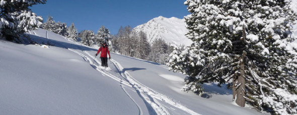 Snow, ski and sun
