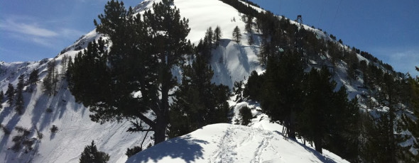 Sun, ski and spring