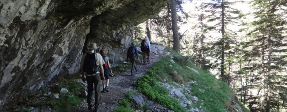 Sun for our Discoverer & Taster week holidays