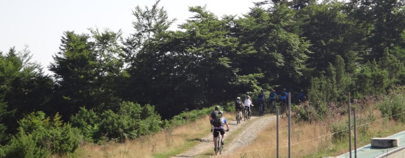 Multi-Activity holidays- keeping you busy!