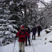 Snowshoeing Pyrenes national park, Pyrenees snow shoeing holidays