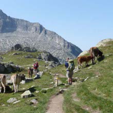 Heading for the Ventosa i Calvell refuge