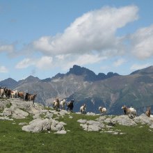 Guided Spanish pyrenees walking holiday - day 1