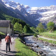 Pyrenees taster walking