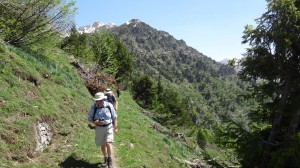04 montagne fleuri bareges pyrenees walking holidays